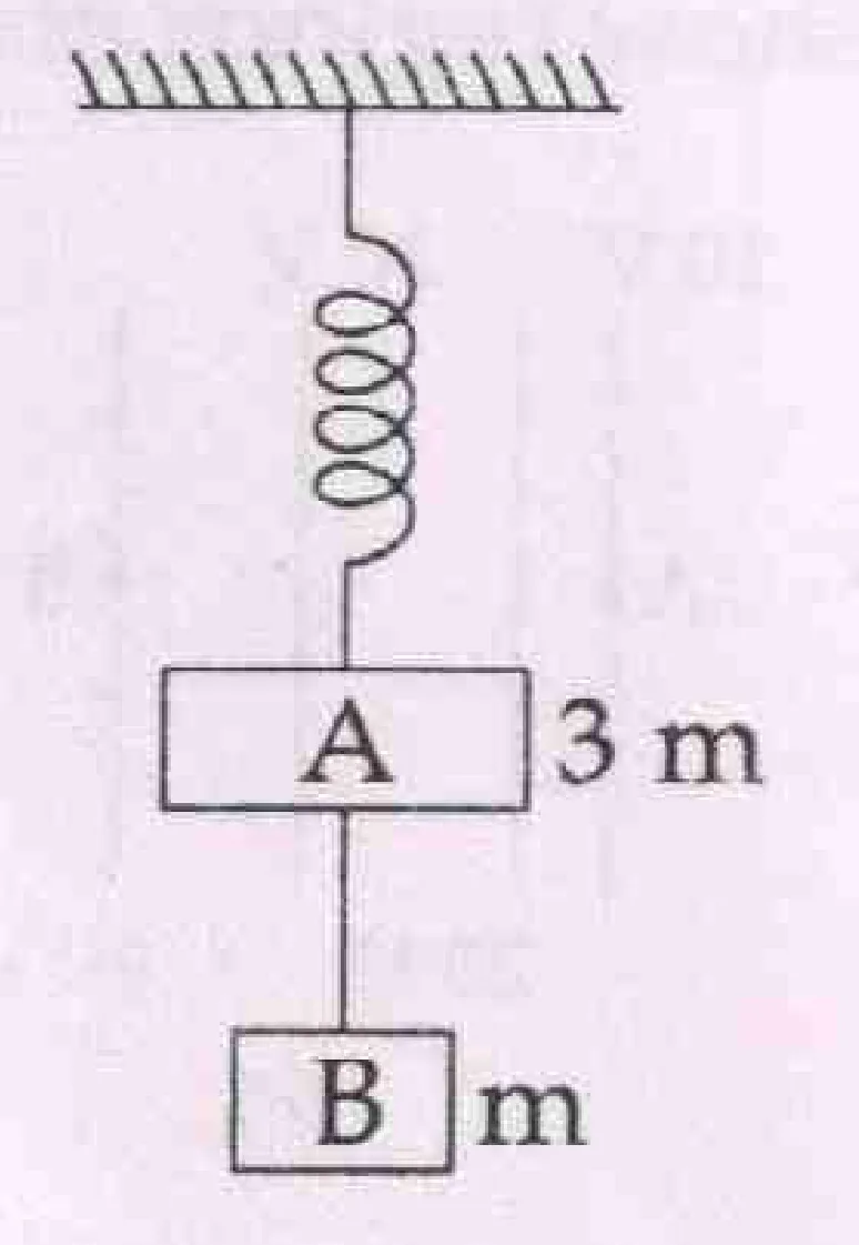 spring from ceiling holding block A (3m), with block B (m) hanging below by string