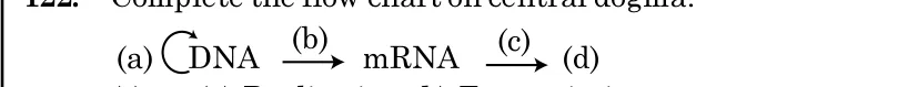 central dogma flow chart DNA -> mRNA -> (d)