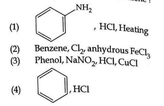 options 1 and 4 contain ring structures (aniline-type and benzene ring)