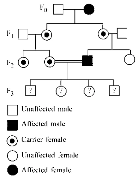 Pedigree chart F0-F3 with symbols: unaffected male, affected male, carrier female, unaffected female, affected female; F3 individuals marked with ?